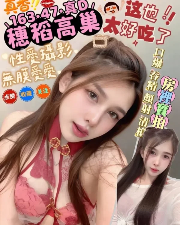 穗稻高巢-屏東定點茶