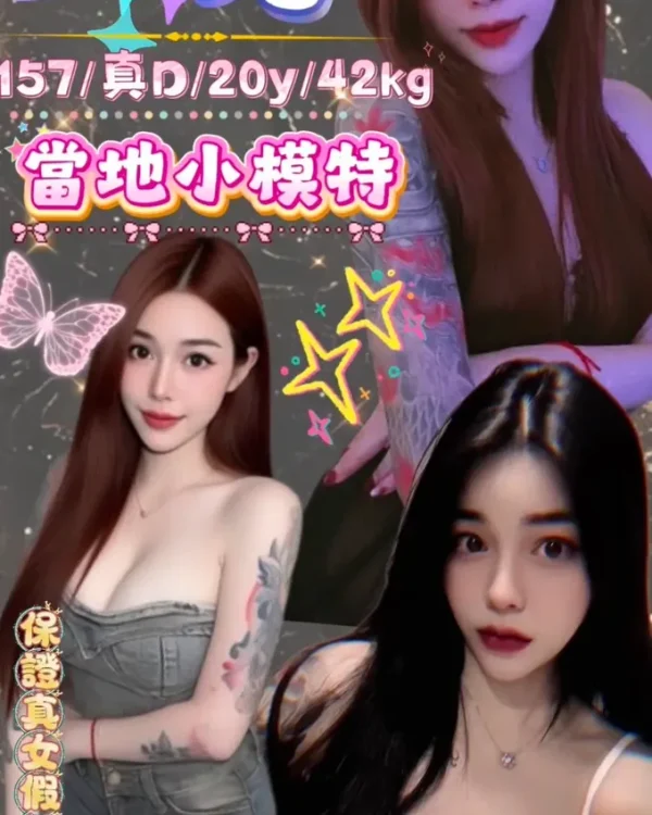 -台北定點茶