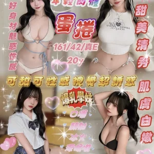 蛋捲-新竹定點茶