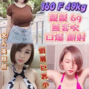 乳牛-新北定點茶