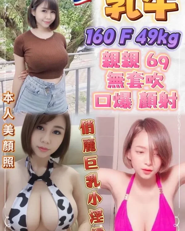 乳牛-新北定點茶