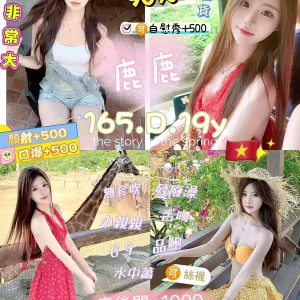 鹿鹿-新北定點茶