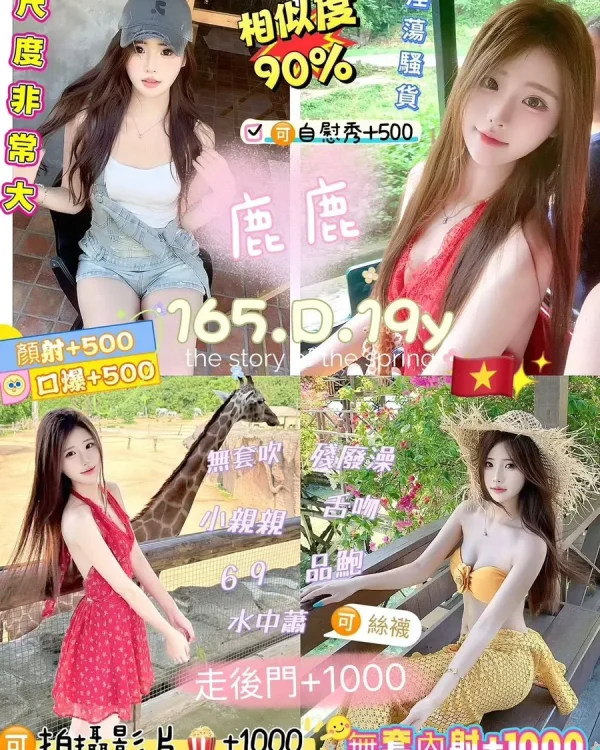 鹿鹿-新北定點茶