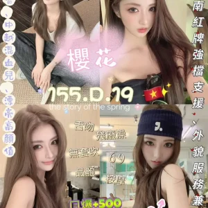 櫻花-新北定點茶